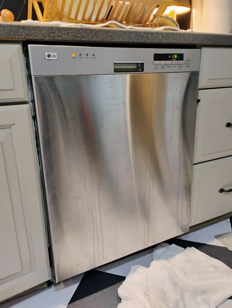 Dishwasher Repair